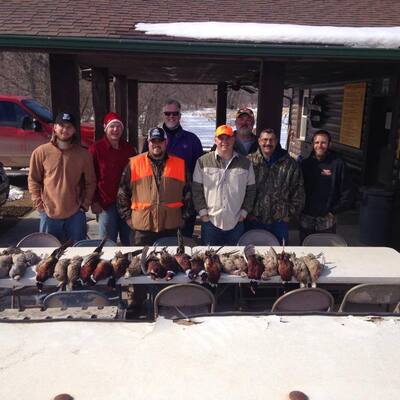 KC Chiefs Pheasant hunt