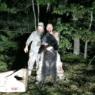 Minnesota Bear Hunt