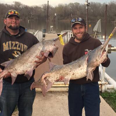 Oklahoma Spoonbill Trip